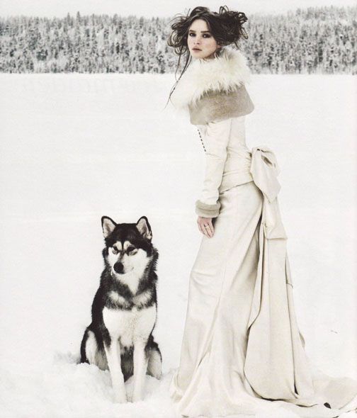 3386a3e0ca3c3a89e429c6aefbbc9c12