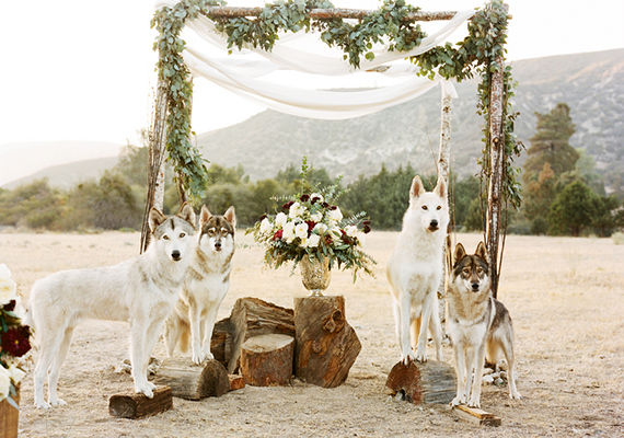 Rustic-winter-wedding-inspiration-21