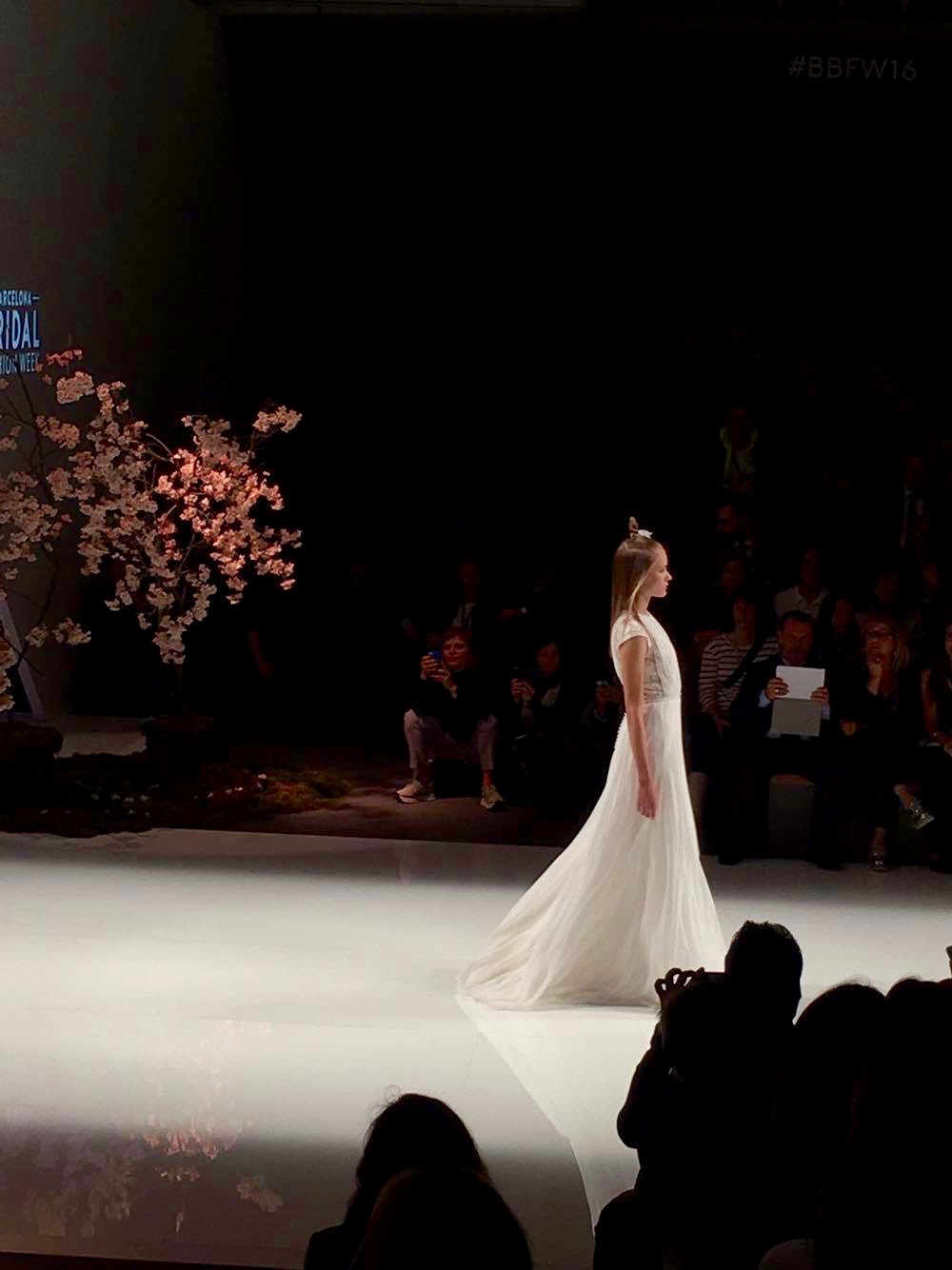 13112483_10208326314608451_1296631449_o (1)