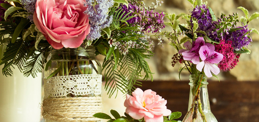 800fotografia-la-silvestre_8-848x400