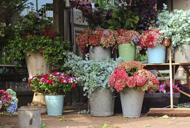 las_floristerias_mas_bonitas_del_mundo_scarlet_183_620x